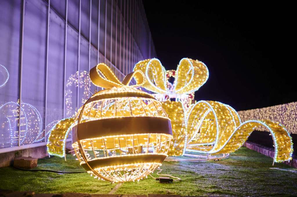 Langley Holiday Events 2023